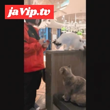 fc2ppv-4781615 - 【短期販売】*猫みたいな色白剛毛18才を猫カフェ連れて行った帰りに中出し